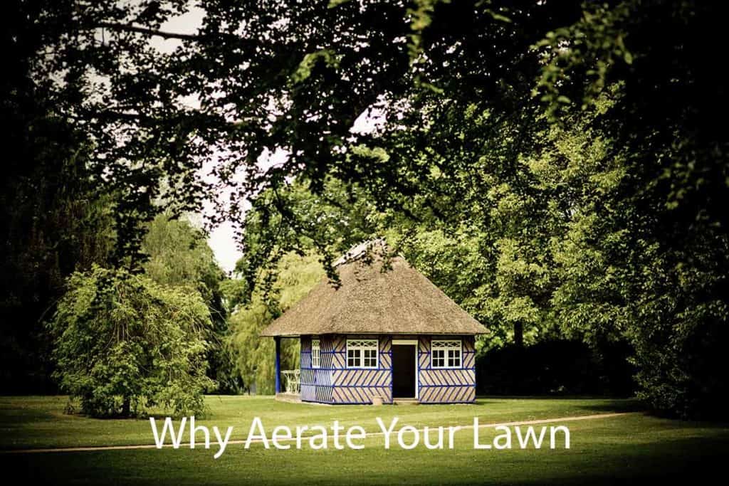 Aerate your Lawn