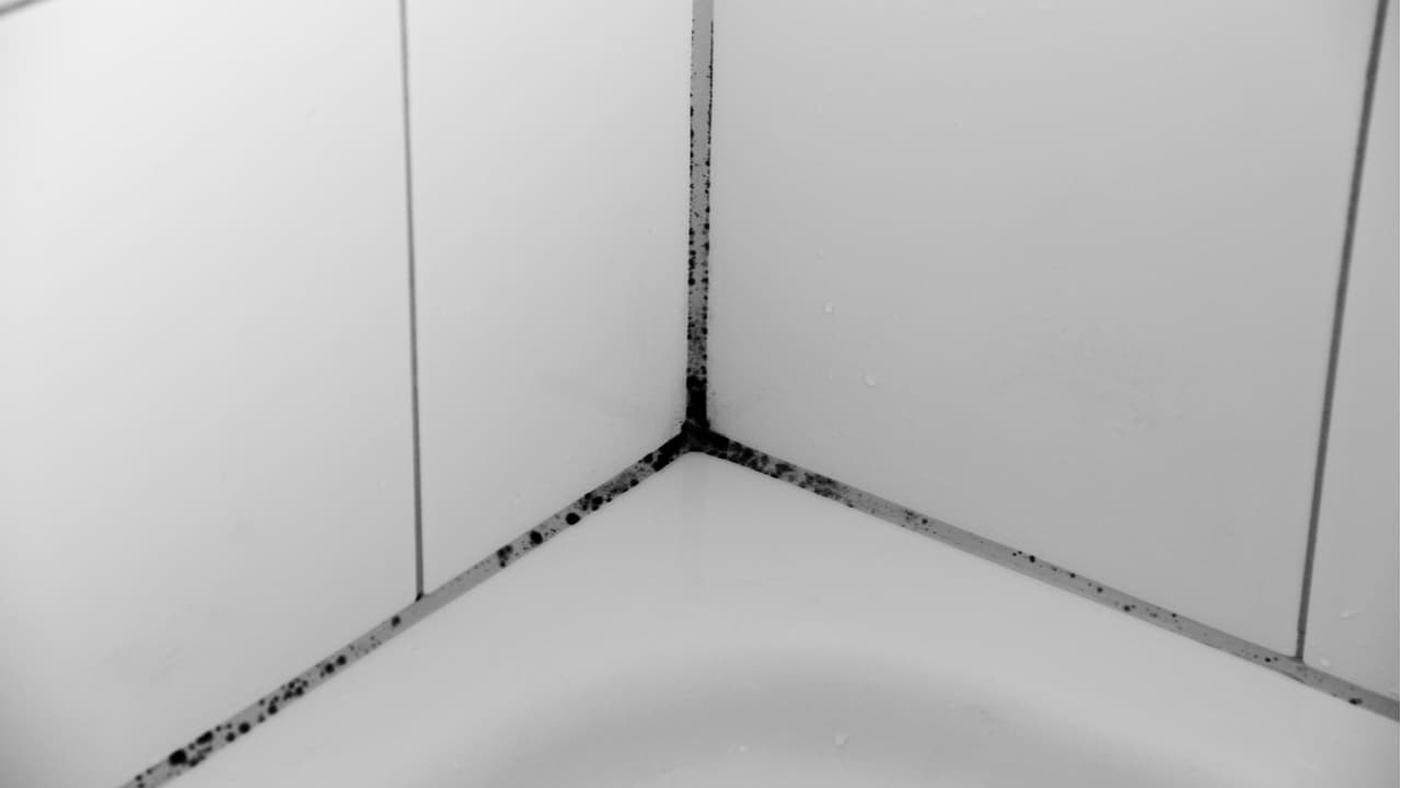 Black mold in the shower