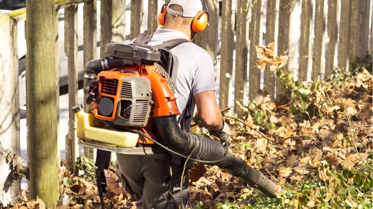 Man uses a backpack leaf blower