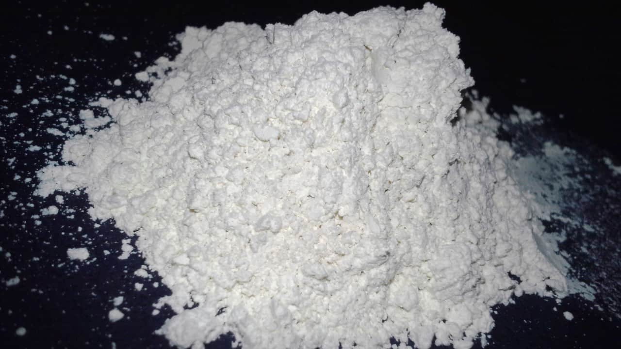 Close-up of Diatomaceous earth