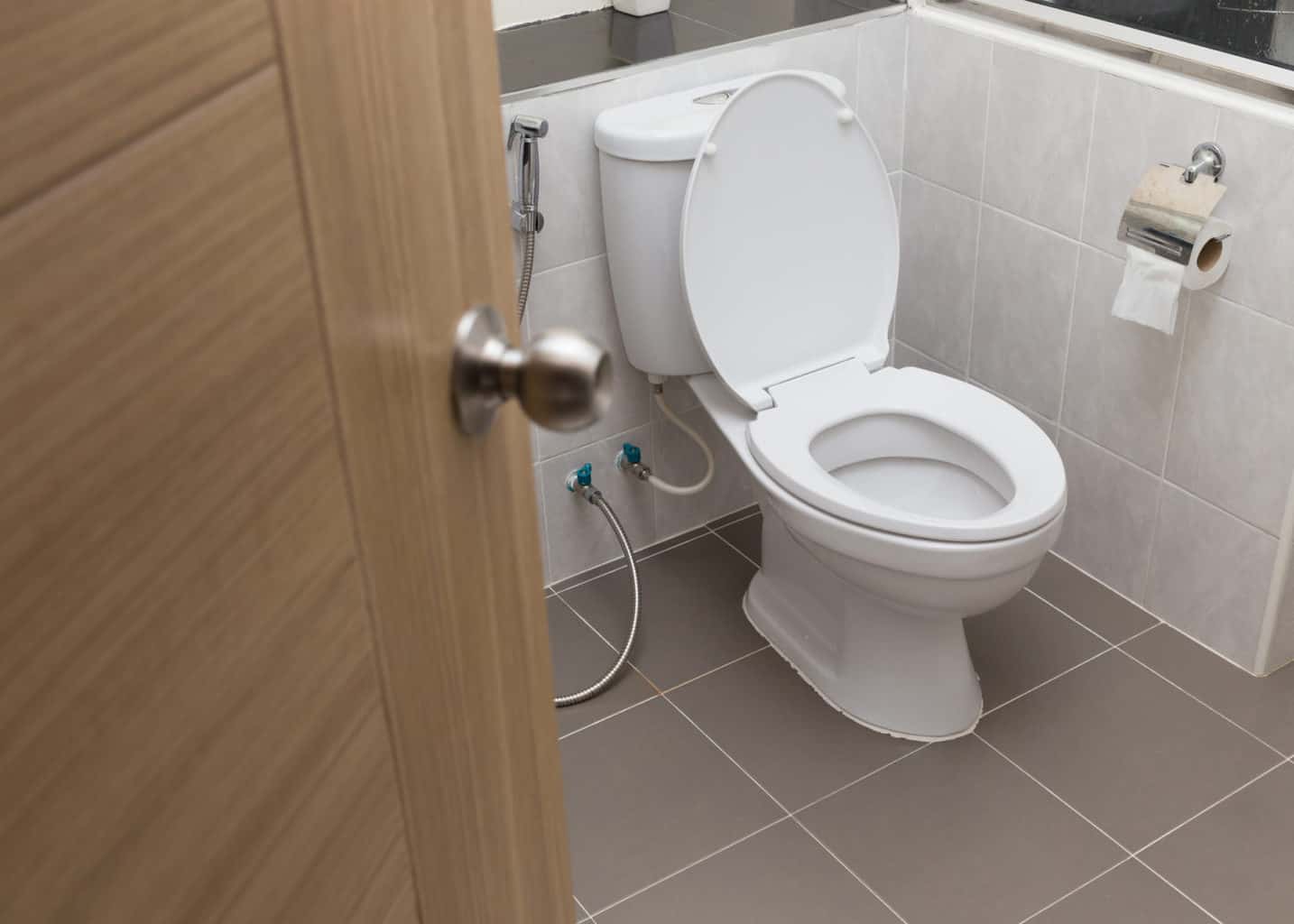 best-flushing-toilet-in-2022-7-reviews-and-buying-guide