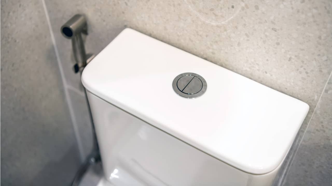 Dual flush toilet button